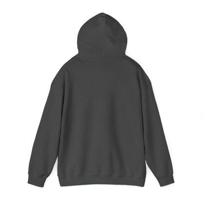 Unisex Heavy Blend™ Hooded Sweatshirt Synthesizer