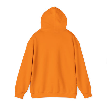 Unisex Heavy Blend™ Hooded Sweatshirt Synthesizer