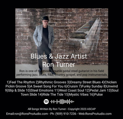 Music CD - 16 Blues Instrumentals