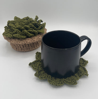 Succulent Coaster set